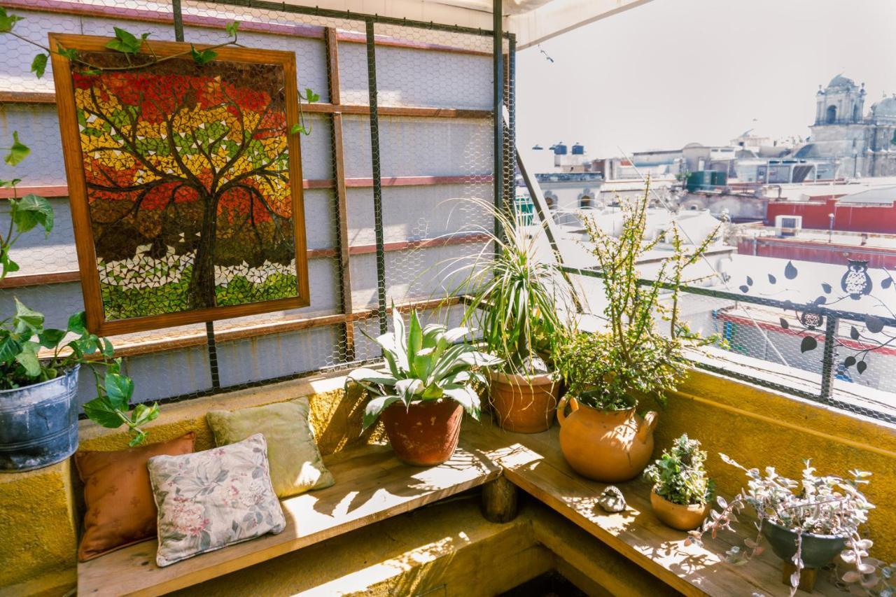 Boutique Hotel Casa Cid De Leon Oaxaca Zewnętrze zdjęcie